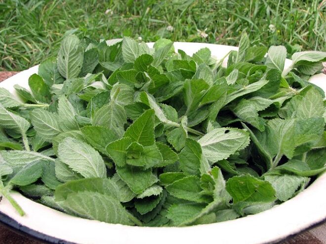 mint leaves for skin rejuvenation