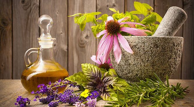 popular herbs for rejuvenation