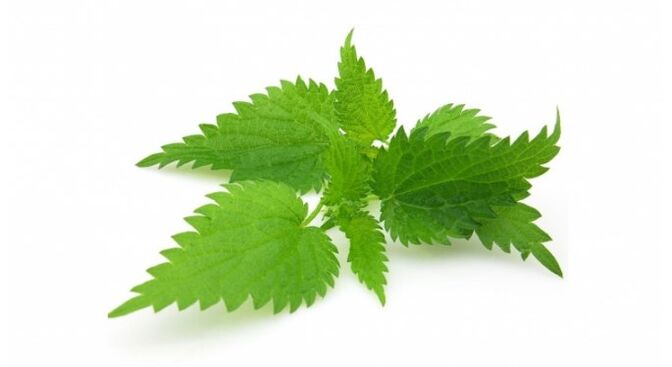 Nettle will eliminate acne and improve skin elasticity